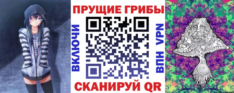 Купить  Обнинск  Псилоцибиновые грибы Cubensis 